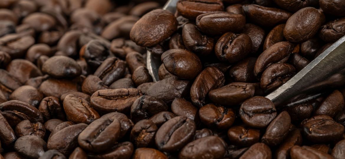 coffee artisan