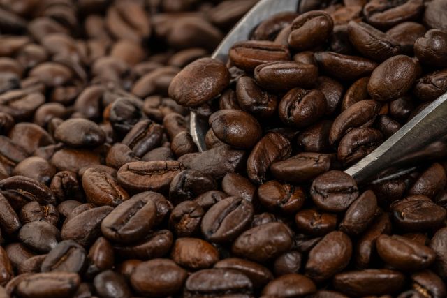 coffee artisan