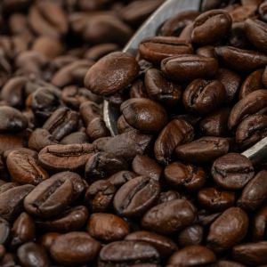 coffee artisan